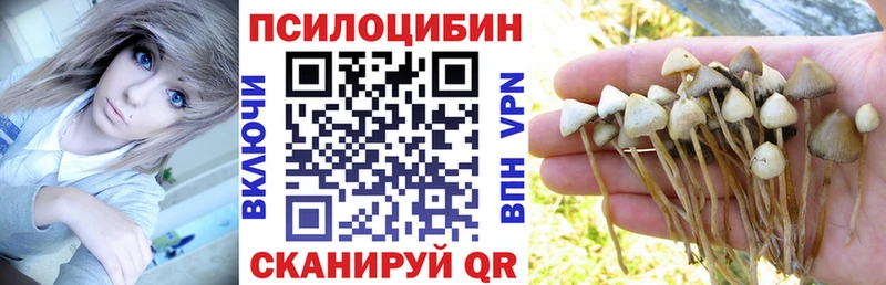 Купить  Лыткарино  Псилоцибиновые грибы Magic Shrooms 